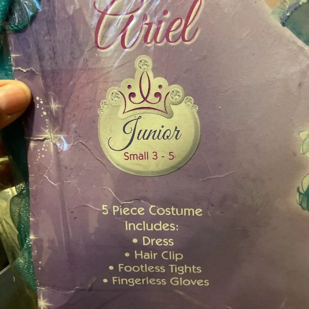 Disney ariel costume